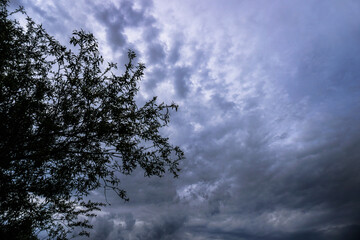 Scary thunderclouds and black trees. Night storm and dark cloud. Dark heaven background