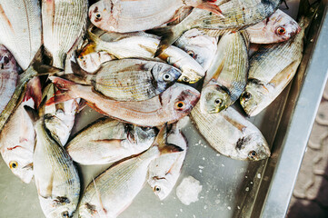 Poisson frais sur un étal de poissonnier au bord du port
