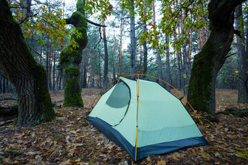 touristic tent in a forest, outdoor travel scene