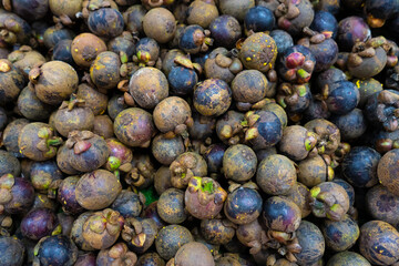 Mangosteen fruits fill the frame close up