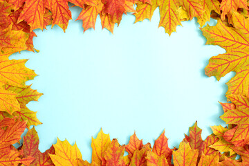 Naklejka na ściany i meble Autumn background with copy space ideal for tekst in design