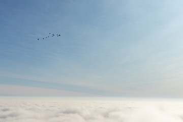 Birds formation above clouds and hills