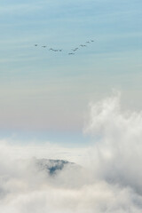 Birds formation above clouds and hills