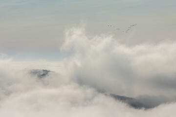 Birds formation above clouds and hills