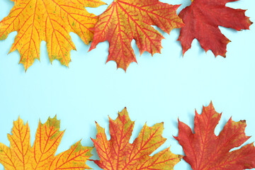 Autumn background with copy space ideal for tekst in design