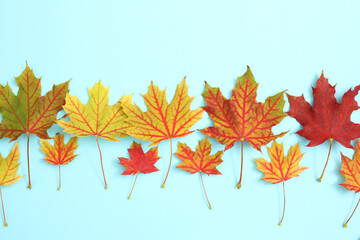Autumn background with copy space ideal for tekst in design