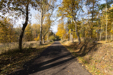 Naklejka na ściany i meble Forest road in the autumn nature with clear sky