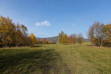 Autumn nature with clear sky