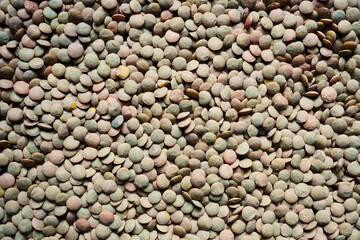 Green lentils from above