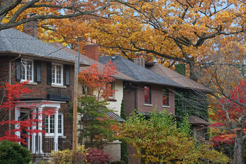 Fototapeta na wymiar Residential neighborhood with lush colorful foliage in autumn