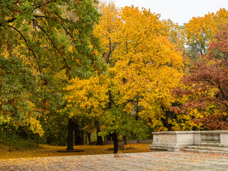 Naklejka na ściany i meble Autumn landscape in the park, Warsaw, Poland