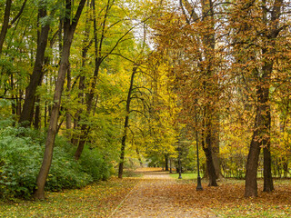 Empty alley in the public park. Beautiful autumn, colorful leaves. Warsaw, Poland