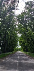 road 