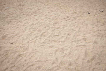 Fototapeta na wymiar Sandy beach for background and texture