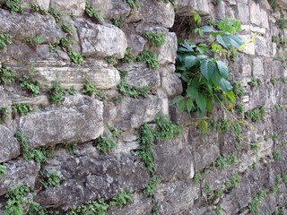 Stone wall