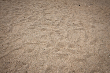 Sandy beach for background and texture