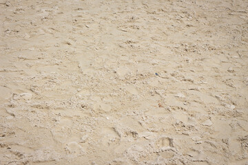 Sandy beach for background and texture