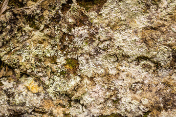 Natural yellow stone background with texture