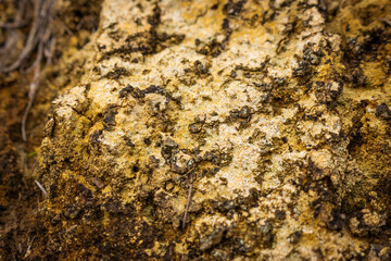 Natural yellow stone background with texture