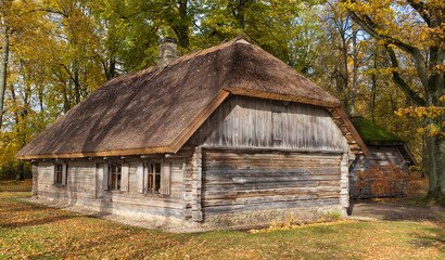 Fototapeta na wymiar A very old log house with a thatched roof under large oaks in an autumn forest