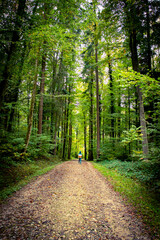 The autumn has arrived in Switzerland