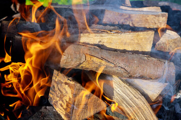 Burning wood or logs in fireplace.