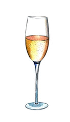 A hand-drawn tall glass of champagne. Watercolor illustration isolated on a white background