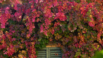 caseggiato in collina