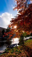 Autumn in the Amsterdam
