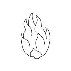 dragon fruit icon vector