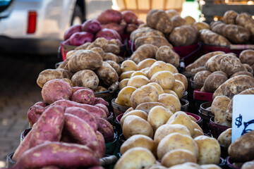 Potatos at the farmer's market