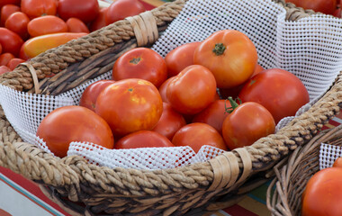 Organic Tomatoes in a Basket