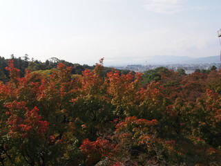 Kyoto at the beginning of the fall foliage season, Autumn leaves, Kiyomizu-dera Temple, Kyoto, Japan