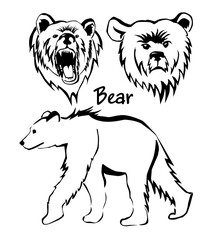 Set of monochrome drawings of a bear. Vector illustration