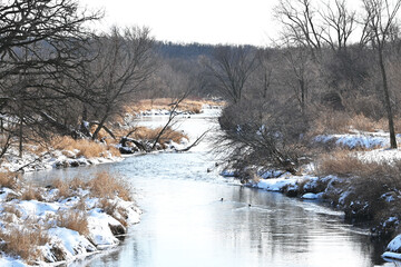 Creek in Winter