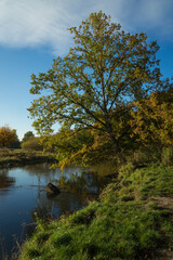 river in the woods at fall season