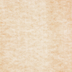 Old Paper texture. vintage paper background or texture; brown paper texture.