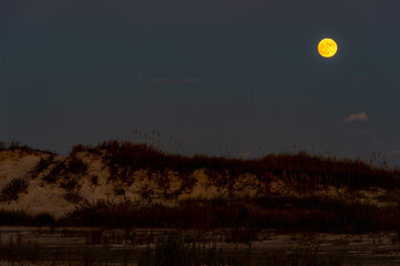 Moon Rising Over Sand Dunes