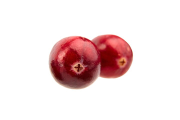 Cranberries isolated on white background