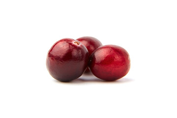 Cranberries isolated on white