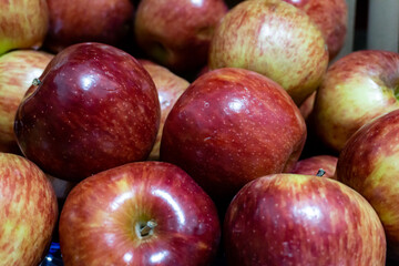 Fototapeta na wymiar manzanas 
