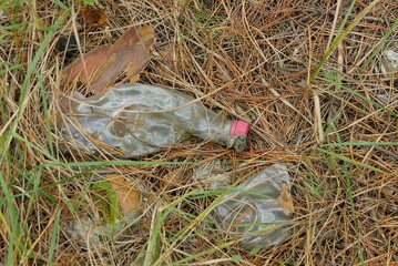 garbage from one white plastic bottle on dry needles in the autumn forest
