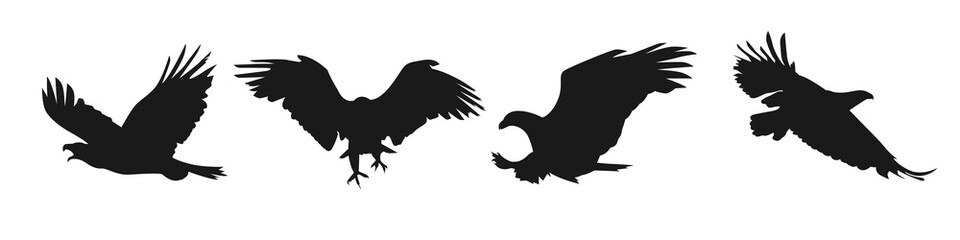 flaying silhouette eagle isolated white background