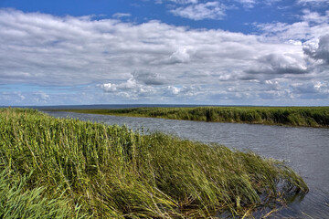 Cofluence of Wisla Krolewiecka canal and Vistula Lagoon, Zulawy Wislane, Poland