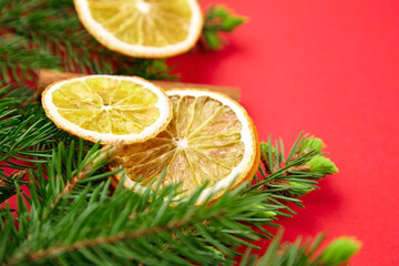 Fototapeta na wymiar Dried orange slices with christmas tree branches on red background