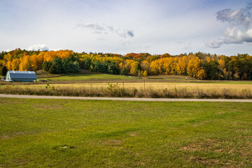 Fall Colours Northumberland Ontario