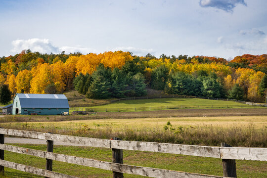 Fall Colours Northumberland Ontario