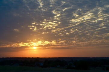  Pink blue sky with pearl clouds and a flying bird towards the sunset, the setting sun.