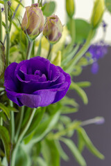 Lisianthus flower 2