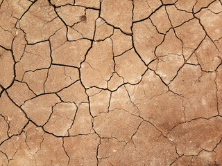 The ground has cracks in the top view for the background